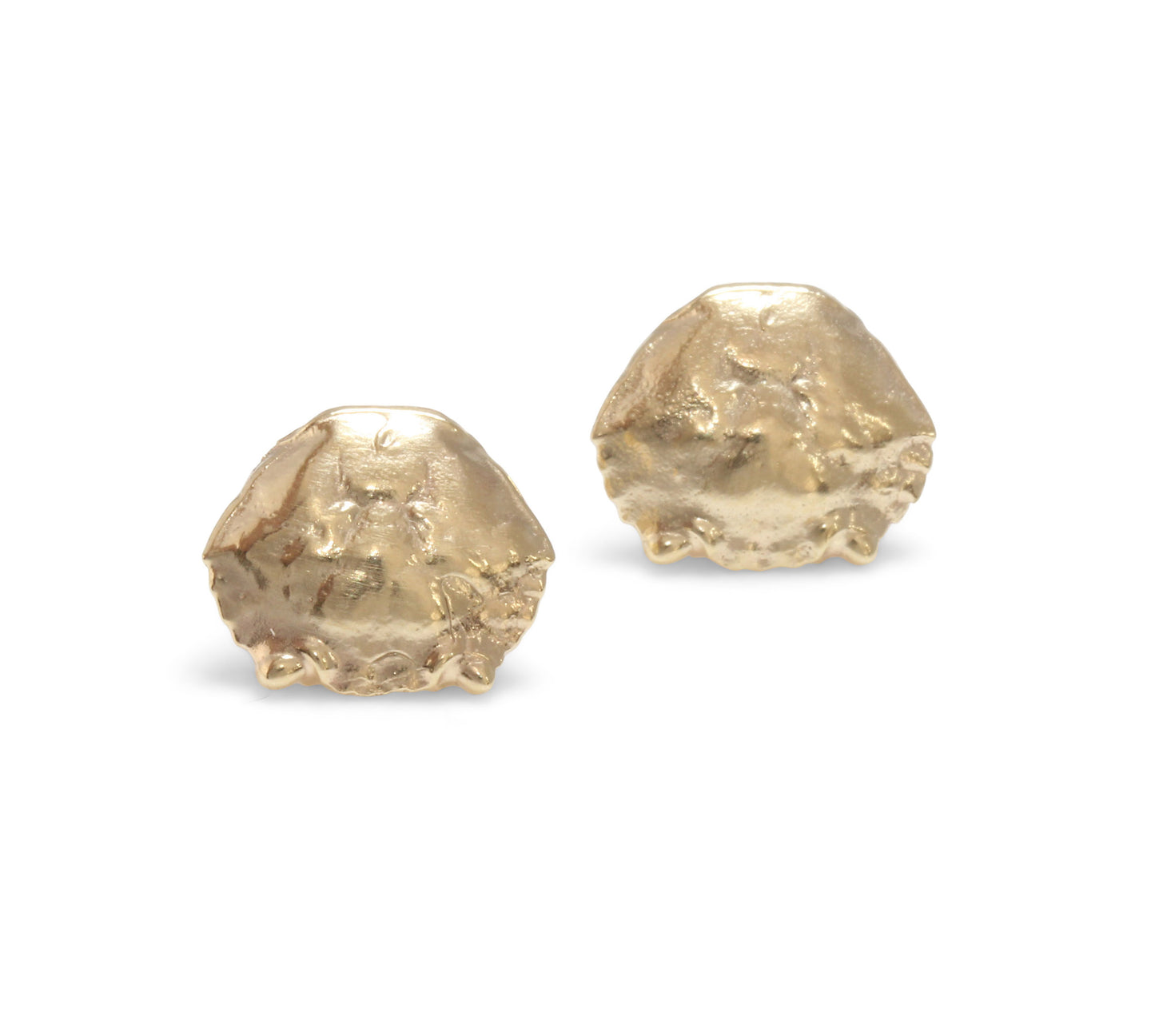 Gold crab shell stud jewellery. Pair of earrings cast from crab shell.