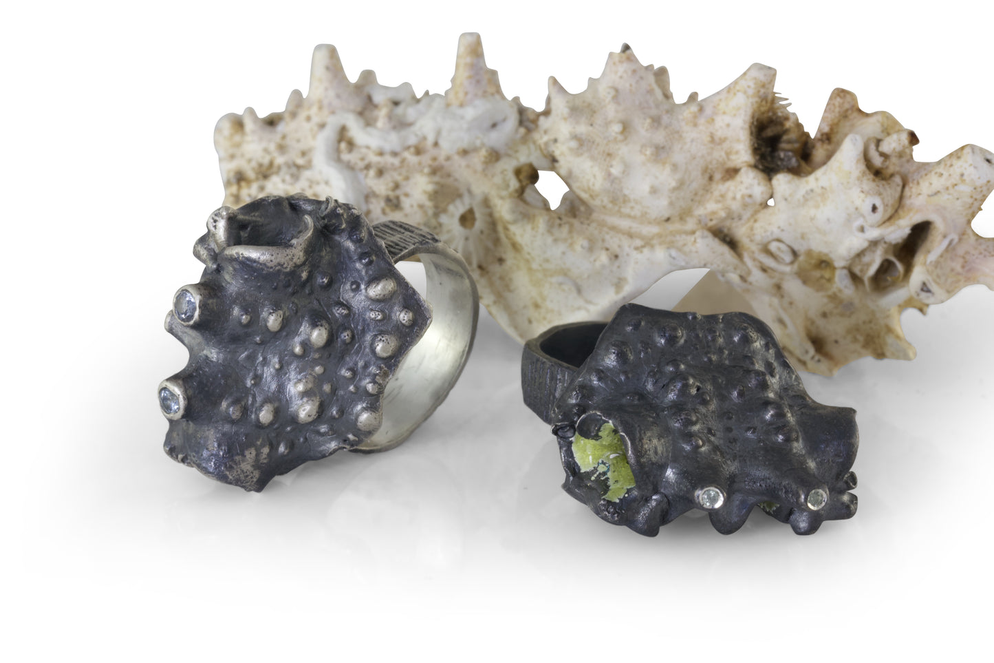 Spider crab - EilyOConnell