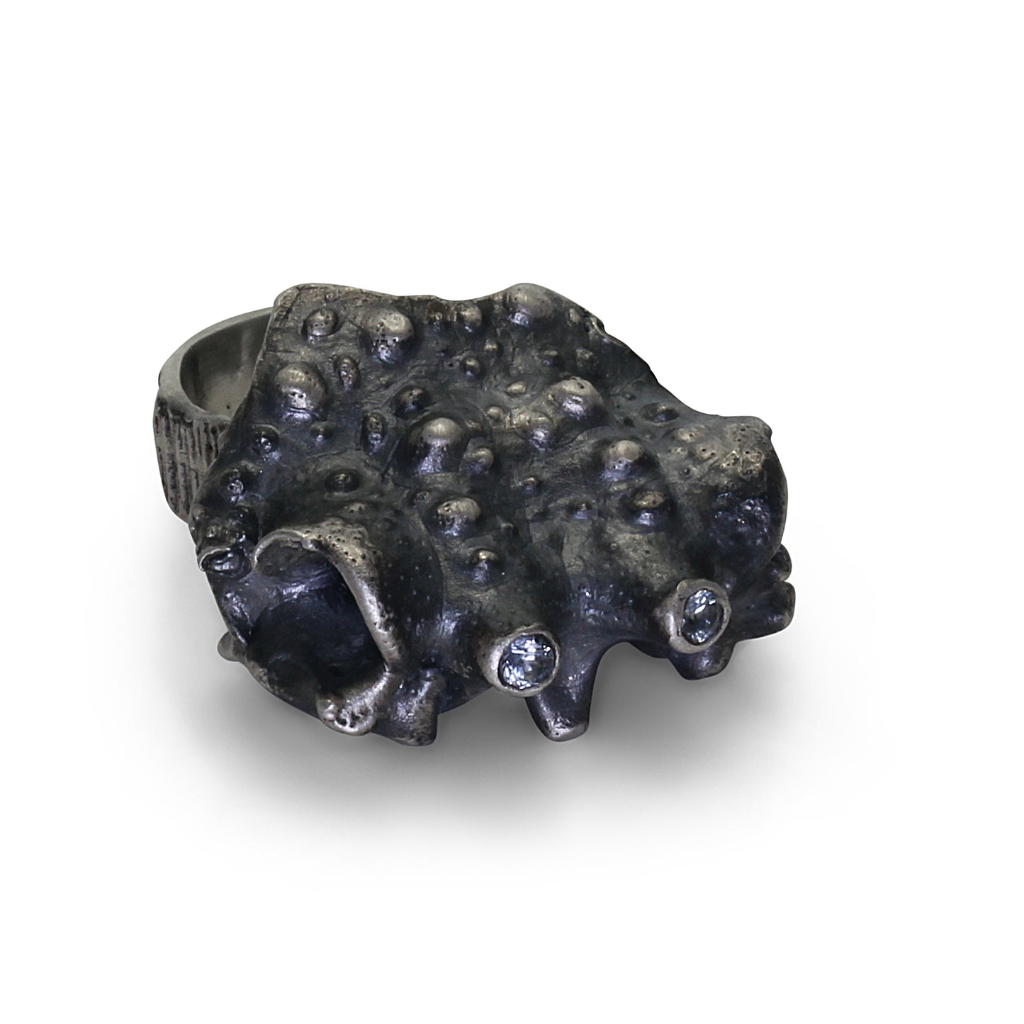 Spider crab - EilyOConnell