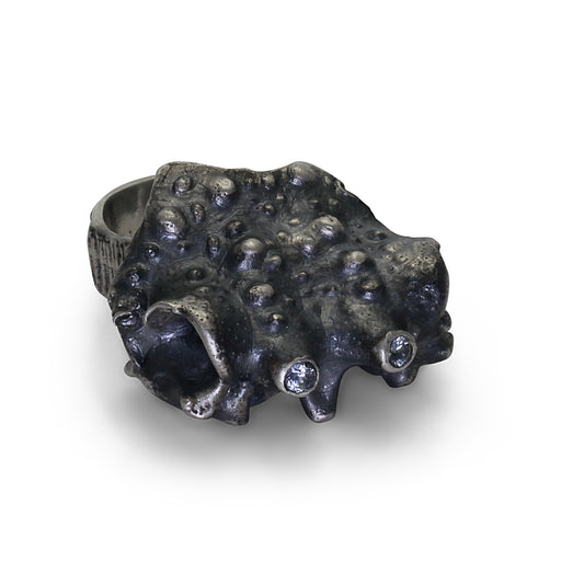 Spider crab - EilyOConnell