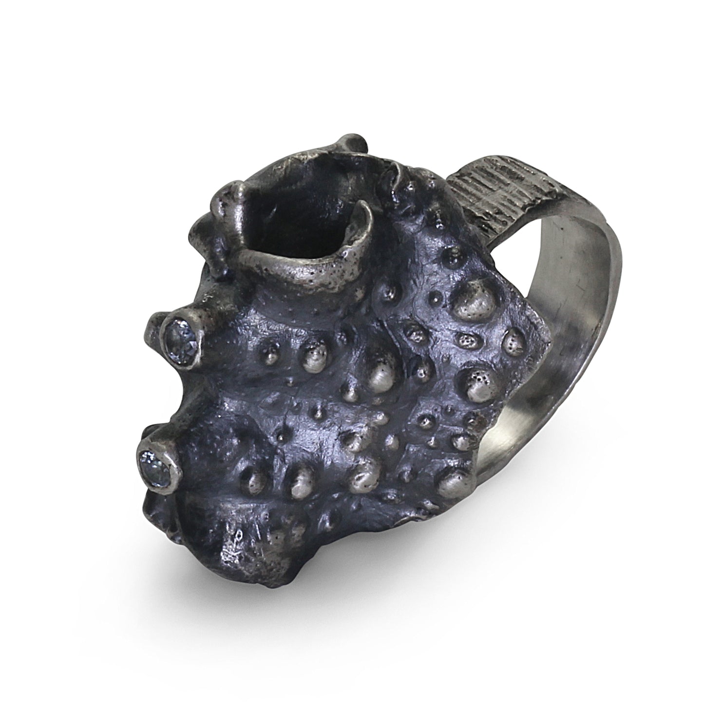 Spider crab - EilyOConnell