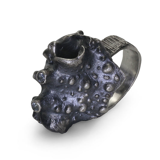 Spider crab - EilyOConnell