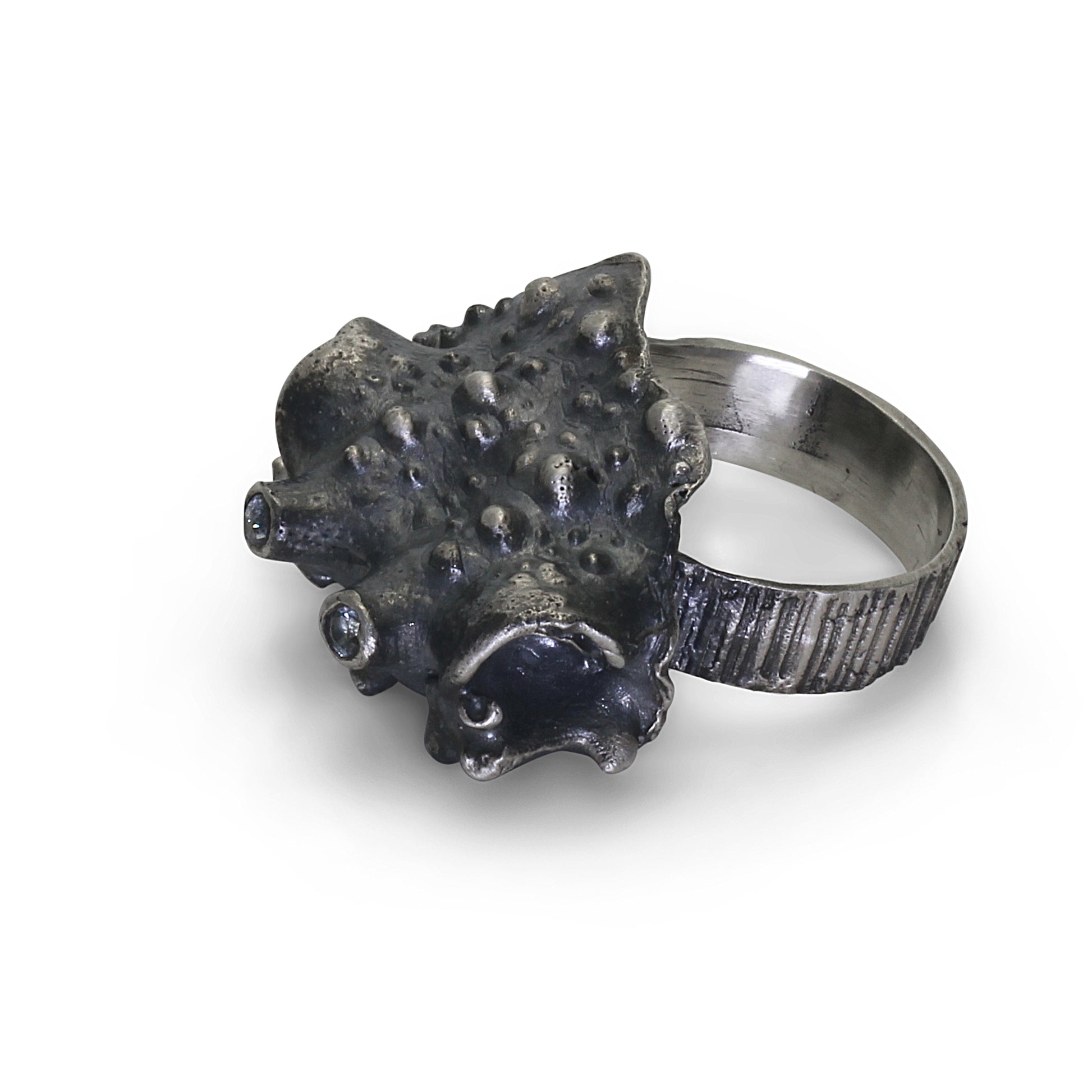 Spider crab - EilyOConnell