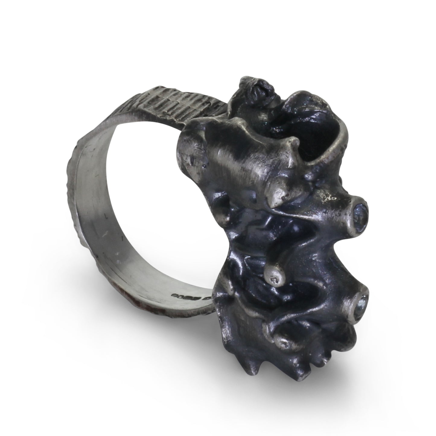 Spider crab - EilyOConnell