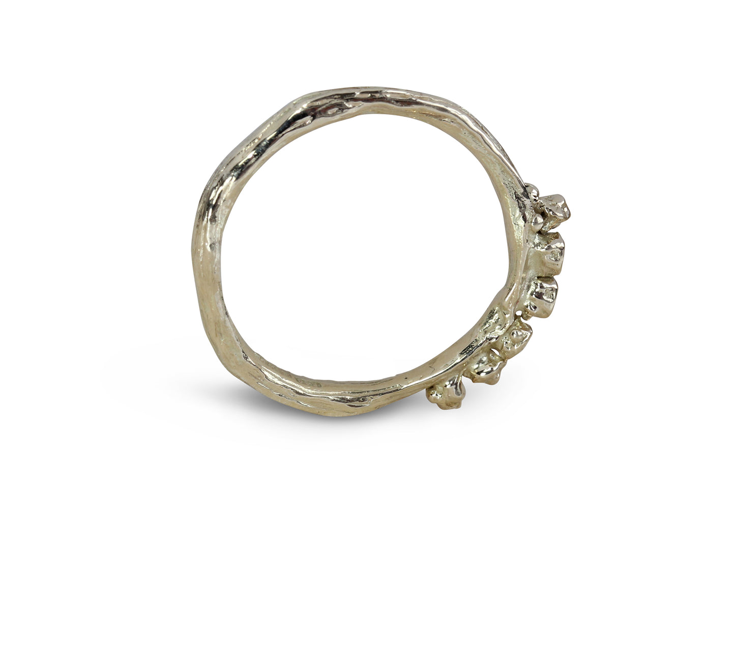 Hedge of berries neat - EilyOConnell