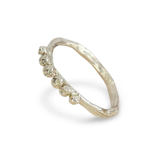 Hedge of berries neat - EilyOConnell