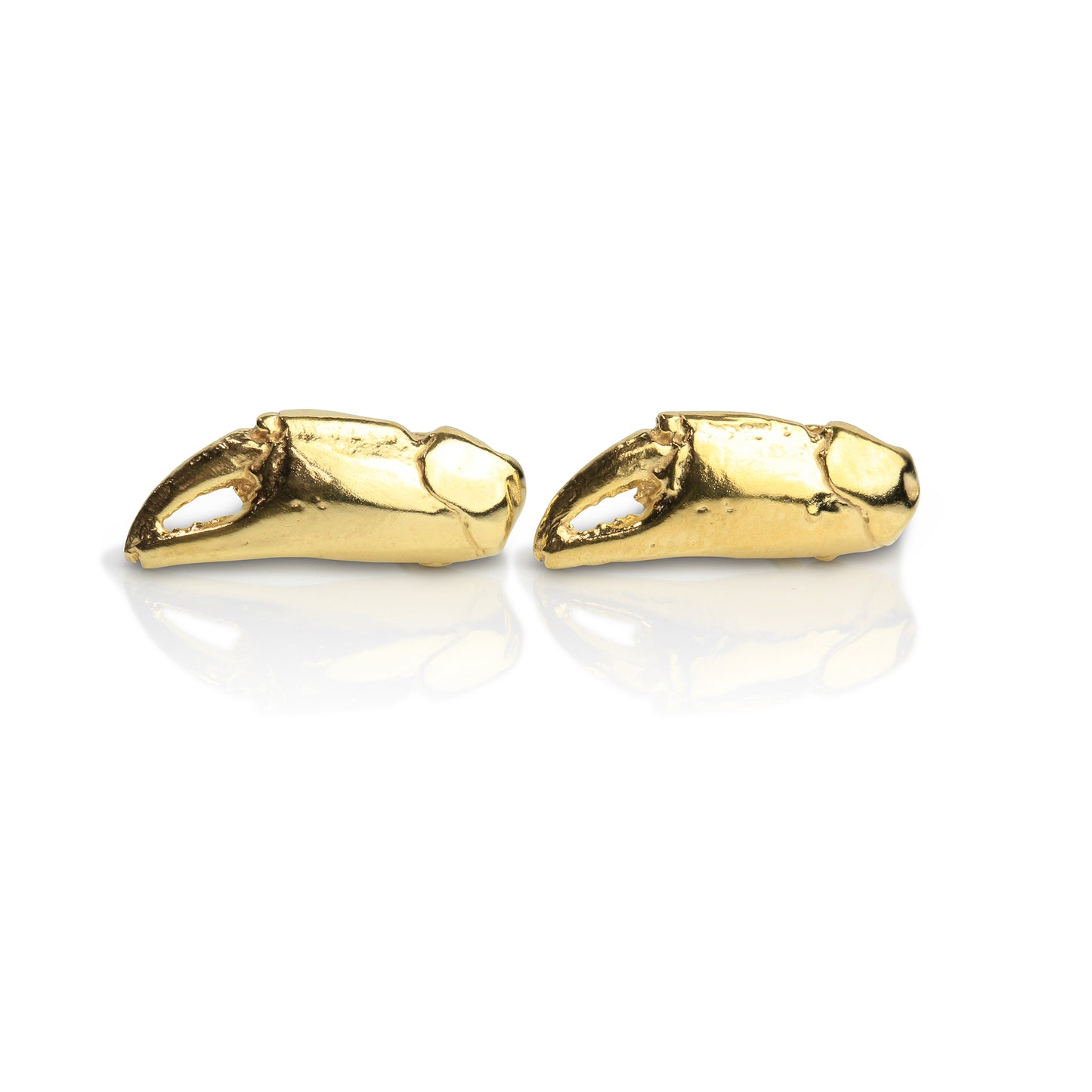 A pair of gold stud earrings cast from tiny crab claws into solid gold