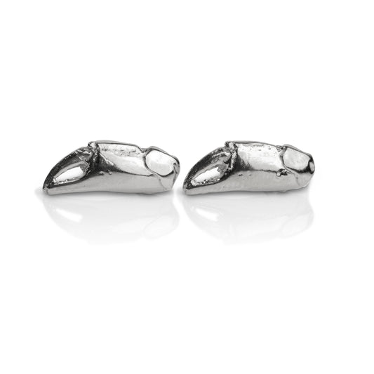 A pair of silver stud earrings cast from tiny crab claws into solid silver