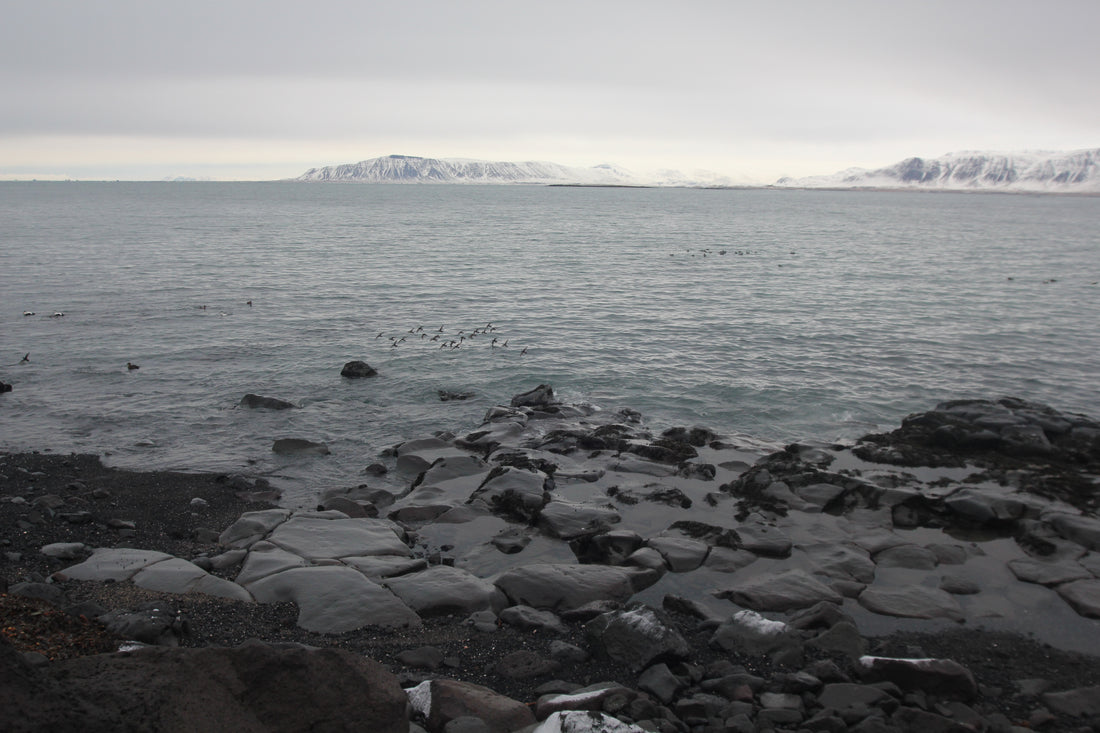 Currently in Iceland until March 4th!