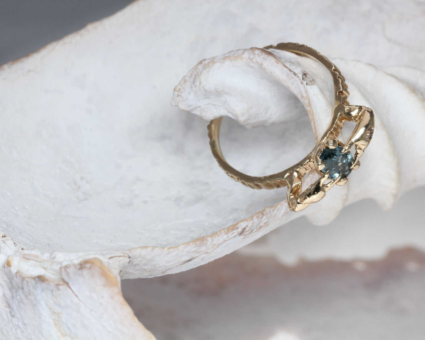 Gold ring with a blue sapphire gemstone on a white shell with crab claws by eily o connell
