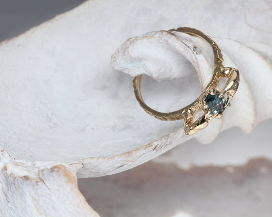 Gold ring with a blue sapphire gemstone on a white shell with crab claws by eily o connell