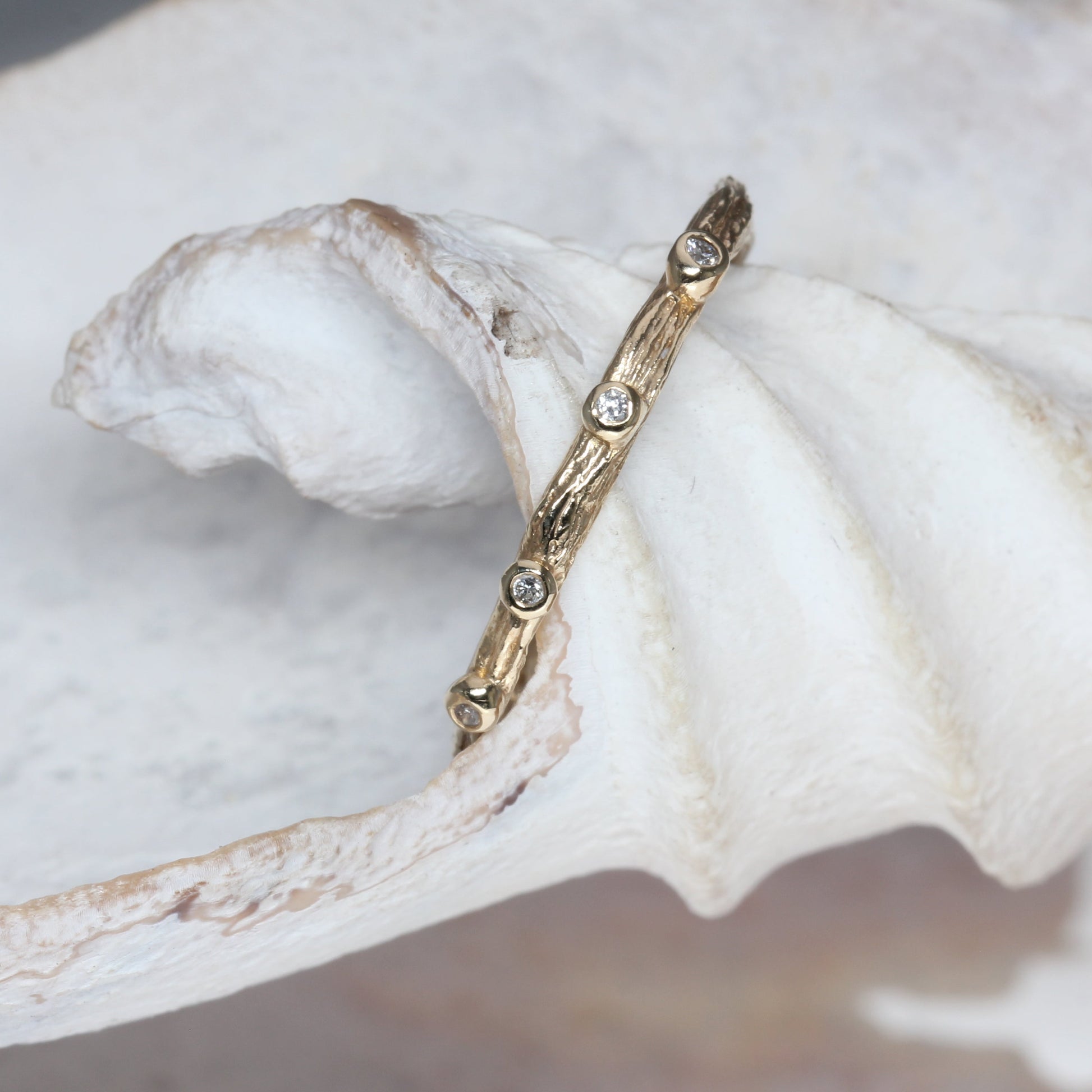 Forest rain drops - EilyOConnell