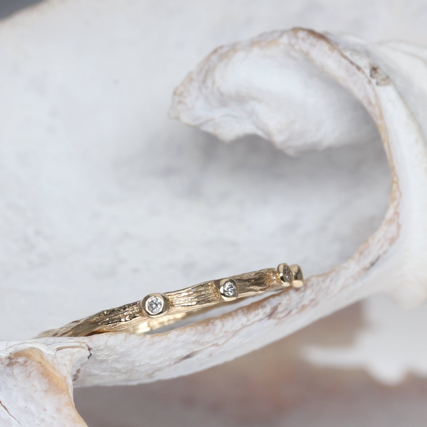 Forest rain drops - EilyOConnell