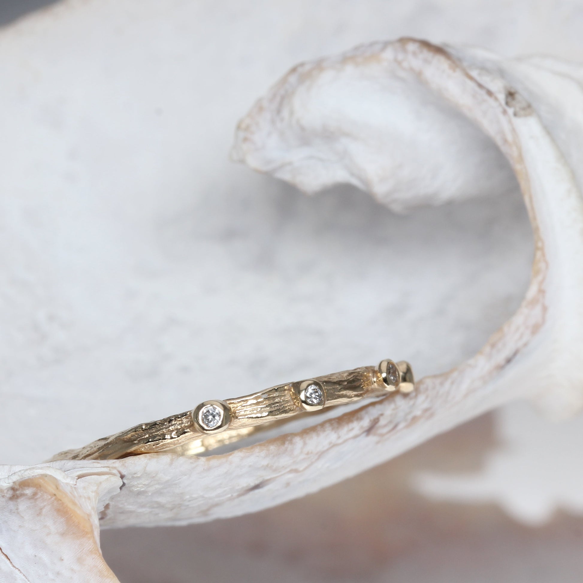 Forest rain drops - EilyOConnell